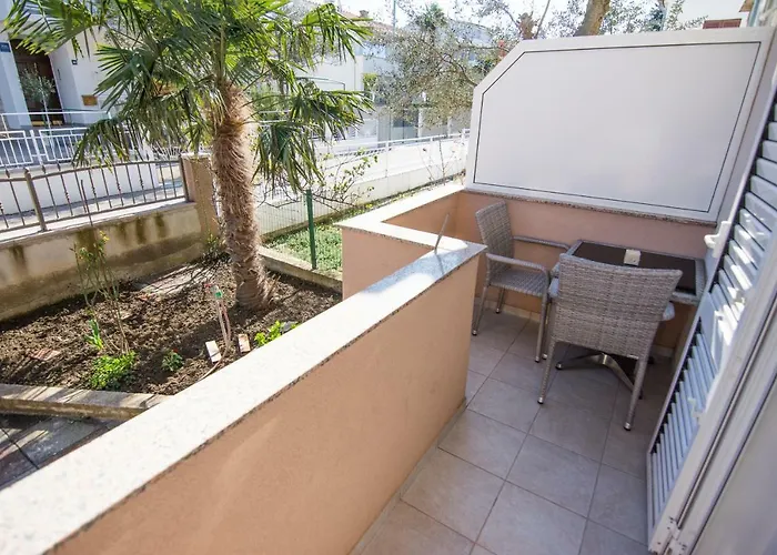 Cirjak Biograd Na Moru